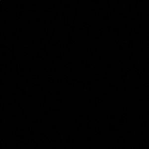 Meet your Posher, Justice